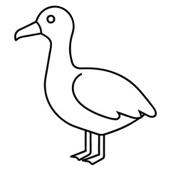 Simple Albatross Vector Drawing