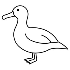 Simple Albatross Vector Drawing