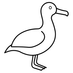 Simple Albatross Vector Drawing