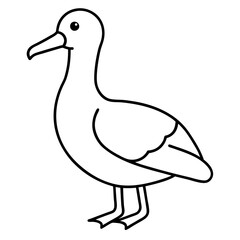 Simple Albatross Vector Drawing