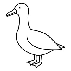 Simple Albatross Vector Drawing
