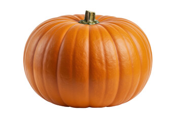 Obraz premium Orange Orb A vivid pumpkin basks in stark shadow