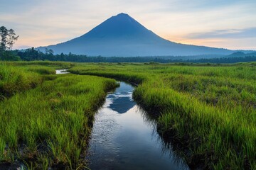 Fototapeta premium Shadowed Volcano in the Distance with Marshy Ground and Water Stream at Dawn. Snow-Capped Peak, Grassland Reflecting Light, and Blue Sky at Dusk in Majestic Travel Landscape