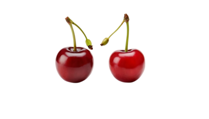 Two cherry fruits isolated on transparent background,clip art, cartoon, freshness, healthy eating, illustration, cherry, design, nature, red, sweet food, 456
