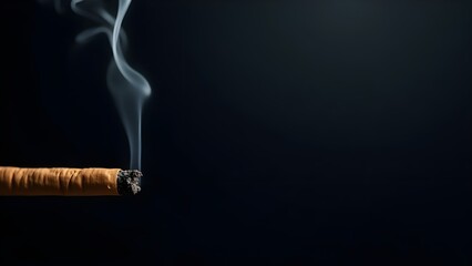 Smoking Cigar on Dark Background with Rising Smoke