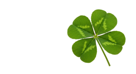 Four-leaf clover, green and lucky, stands out against stark black. Symbol of fortune, hope, and Ireland