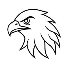 Obraz premium eagle head fierce eye detail line art vector 