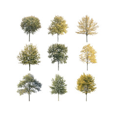 Fototapeta premium Nine Isolated Trees in Various Stages of Autumn Foliage - Perfect for Landscape Design and