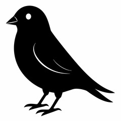 Sleek Black Silhouette of a Canary
