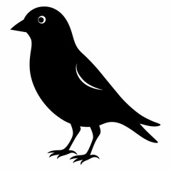 Sleek Black Silhouette of a Canary