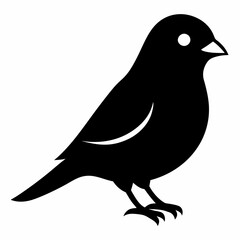 Sleek Black Silhouette of a Canary