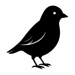 Fototapeta premium Sleek Black Silhouette of a Canary