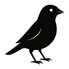 Sleek Black Silhouette of a Canary