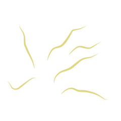 Illustration Ascaris