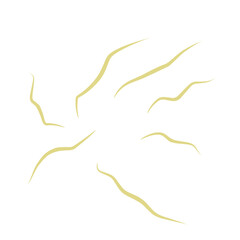 Illustration Ascaris