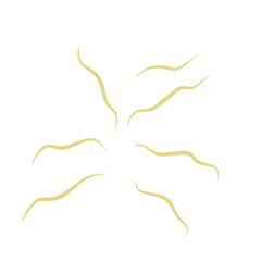 Illustration Ascaris