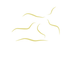 Illustration Ascaris