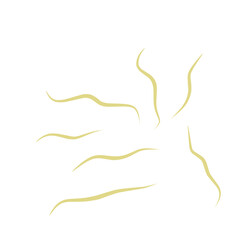 Illustration Ascaris