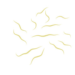 Illustration Ascaris