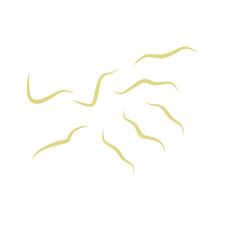 Illustration Ascaris