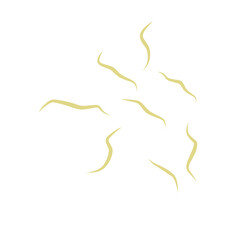 Illustration Ascaris