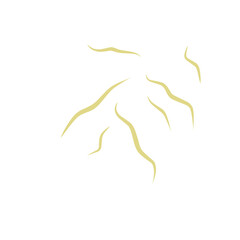 Illustration Ascaris