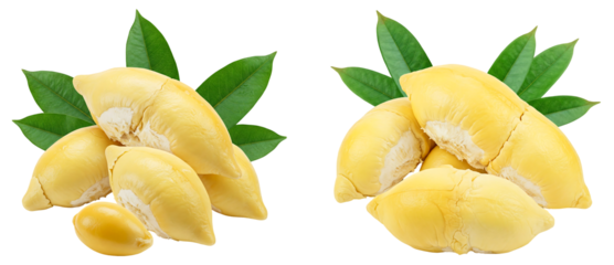 set of ripe yellow durian pods or bulbs with leaves isolated