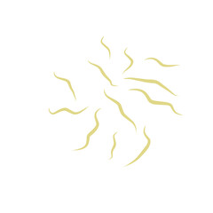 Illustration Ascaris