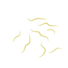 Illustration Ascaris