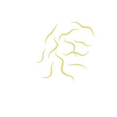 Illustration Ascaris