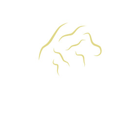 Illustration Ascaris