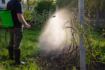 Farmer spraying fertilizer.  Pest control and plant diseases to obtain a large harvest