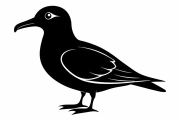 skua sihouette black vector