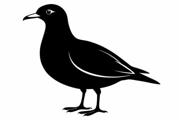 skua sihouette black vector