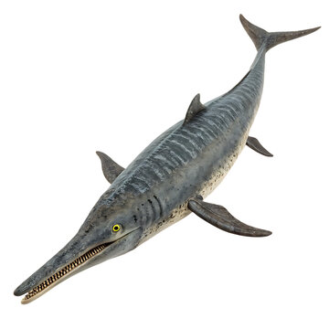 Ichthyosaurus isolated on a transparent background