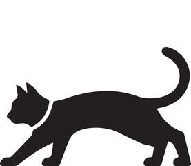 black cat on white background