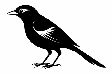 shrike sihouette black vector