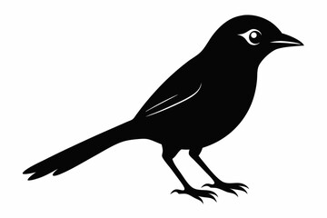 shrike sihouette black vector
