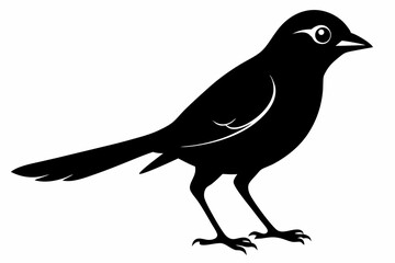 shrike sihouette black vector