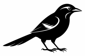 shrike sihouette black vector