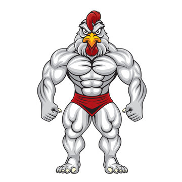 strong chicken mascot vector illustration design