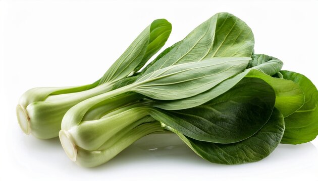 pok choi on white background