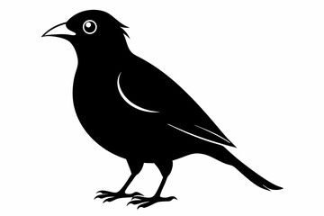 mynah sihouette black vector