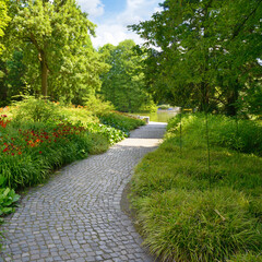 beautiful flowers and trees in the park