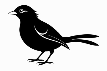 mynah sihouette black vector