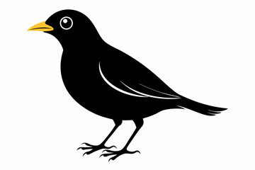mynah sihouette black vector