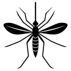 Animal Mosquito silhouette vector illustrator 