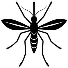 Fototapeta premium Animal Mosquito silhouette vector illustrator 