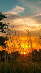 Golden sunlight streams through tall grass in a vibrant meadow du the serene sunset, painting the sky with warm hues in a picturesque rural landscape.