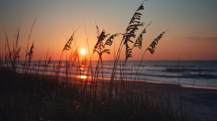 Golden sunlight streams across the ocean waves as sea oats sway gently on the dunes, creating a serene coastal landscape at sunset along the tranquil shoreline.